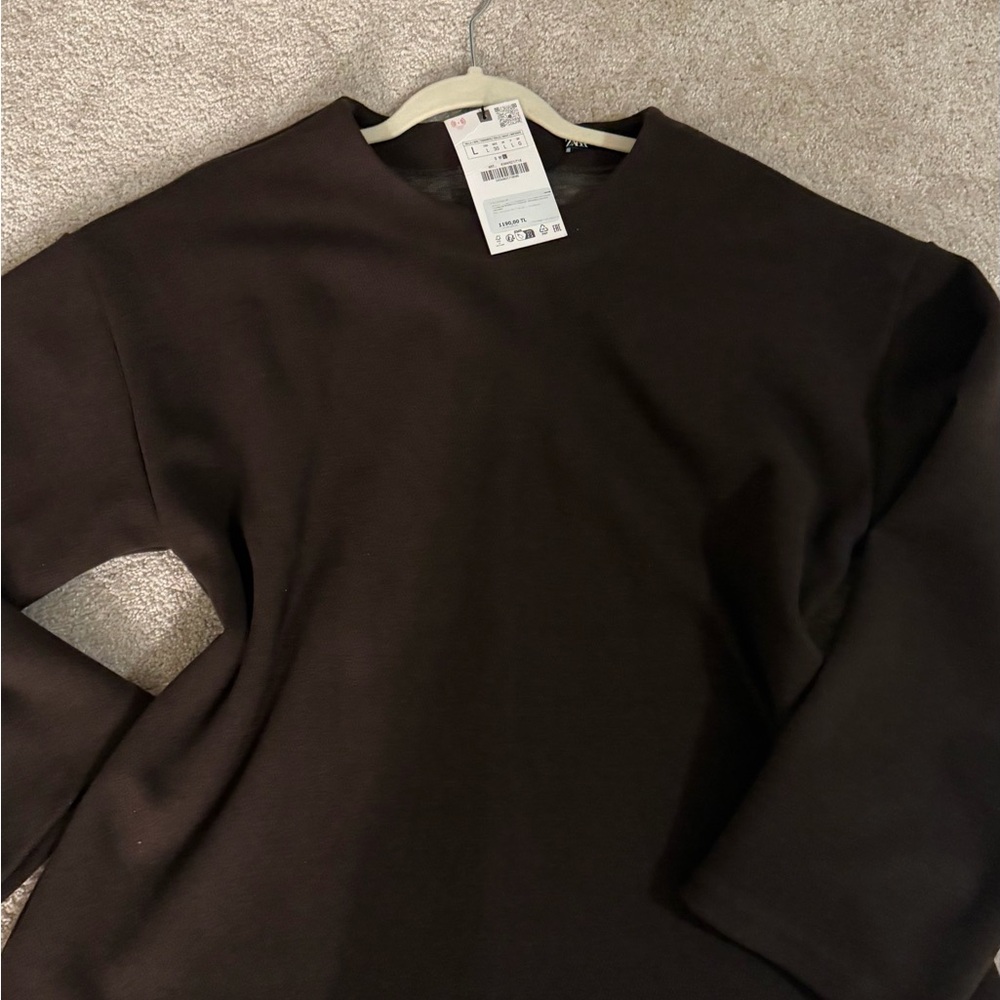 Zara Chocolate Brown Long Sleeve Top